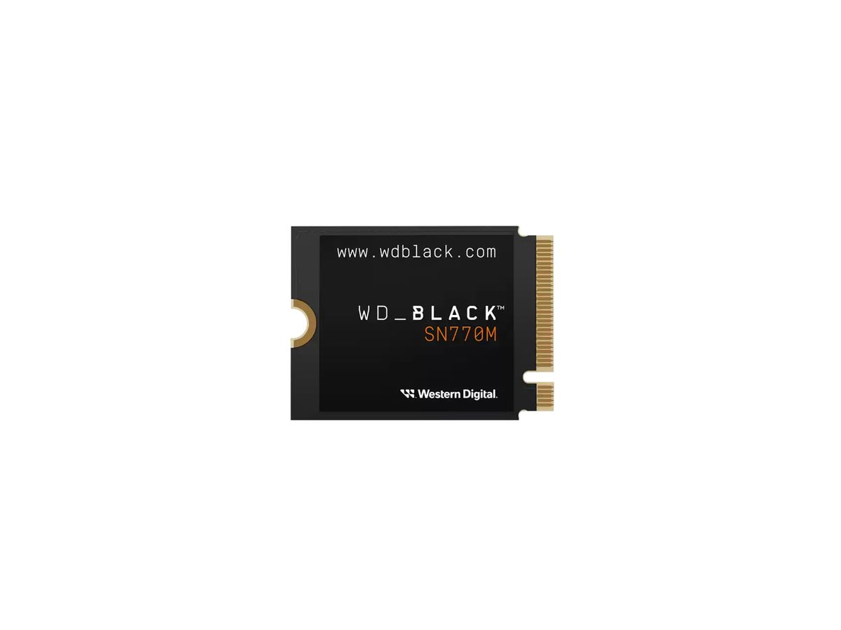 Western Digital Black WD_BLACK SN770M NVMe M.2 1 To PCI Express 4.0 TLC 3D NAND