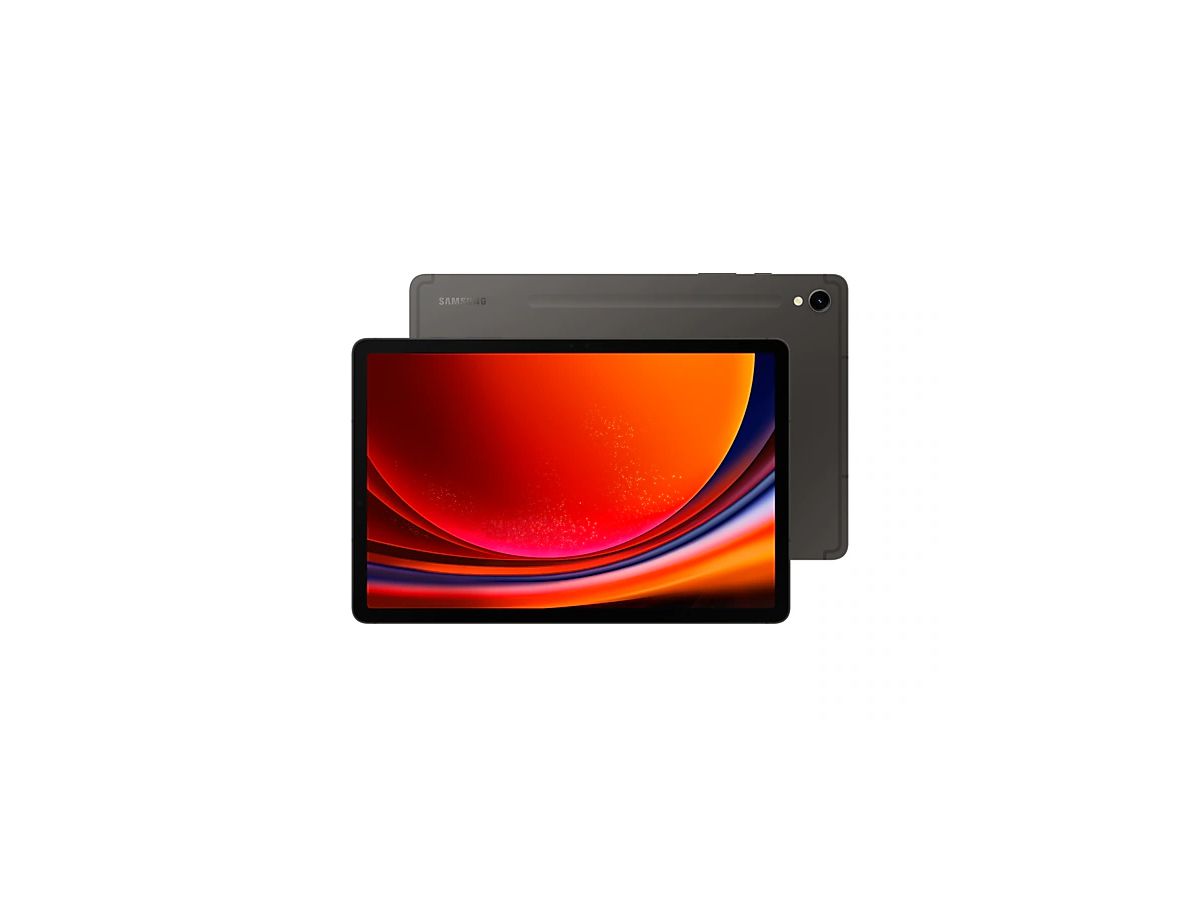 Samsung Galaxy Tab S9 SM-X716B 5G Qualcomm Snapdragon 128 Go 27,9 cm (11") 8 Go Wi-Fi 6 (802.11ax) Android 13 Graphite